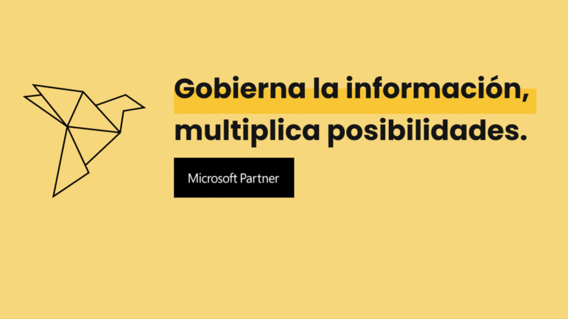 Equip TIC empresa Vidimus (Microsoft partner)