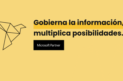 Equip TIC empresa Vidimus (Microsoft partner)