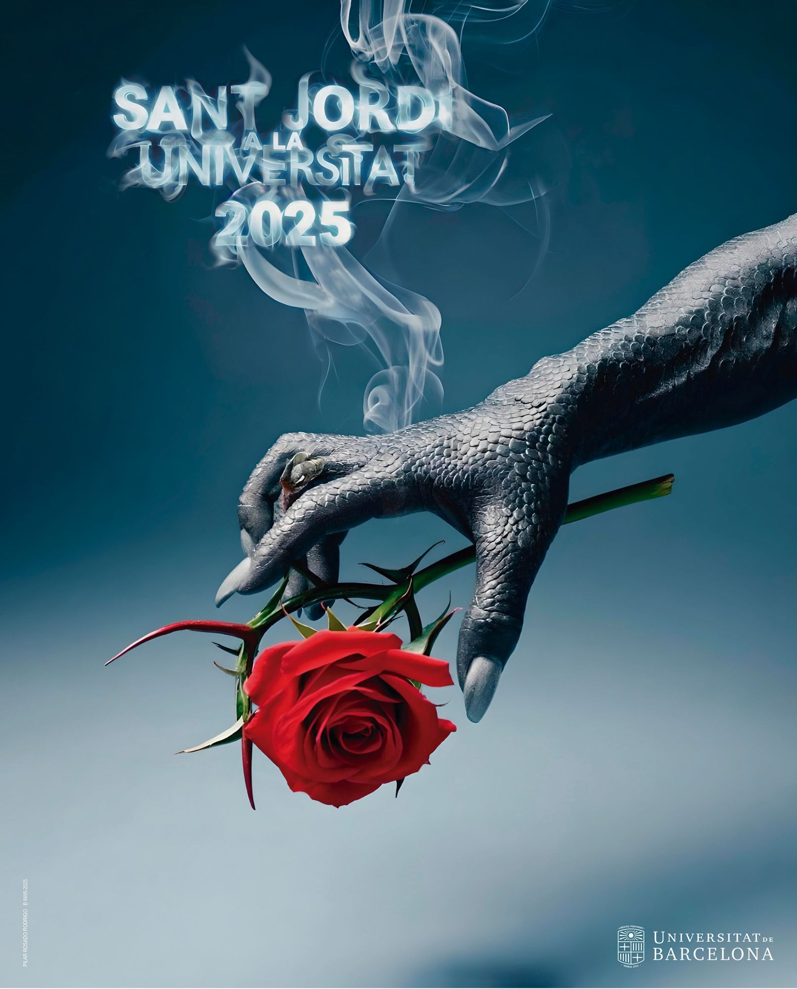 Cartell Sant Jordi 2025